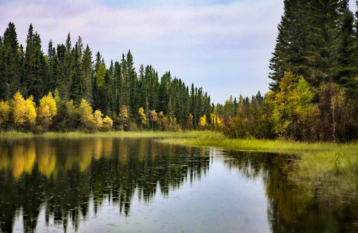 Abitibi-Témiscamingue