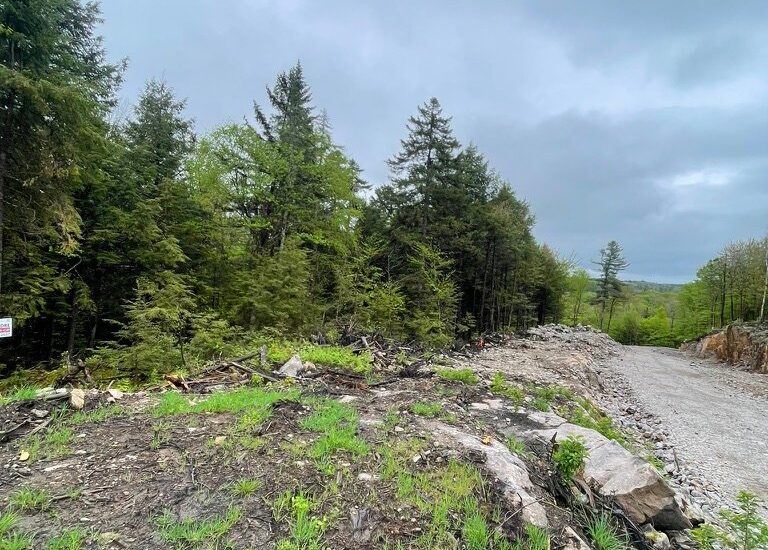 Rue de Singapour  Brownsburg-Chatham (Laurentides)