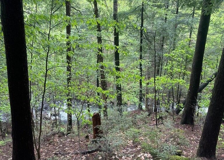 Rue de Singapour  Brownsburg-Chatham (Laurentides)