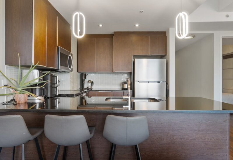 1010 Rue Ste-Catherine E. #410  Montréal (Ville-Marie) (Montréal)