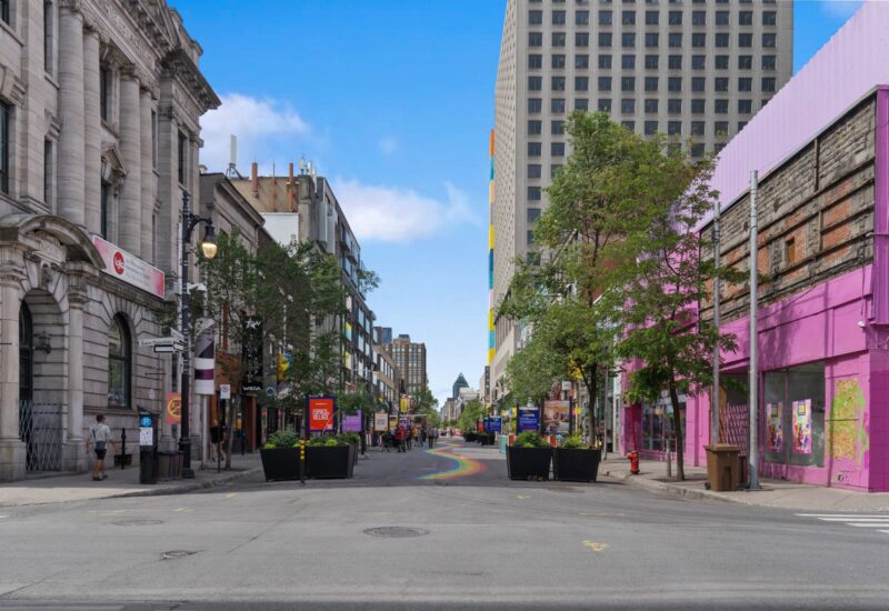 1010 Rue Ste-Catherine E. #410  Montréal (Ville-Marie) (Montréal)