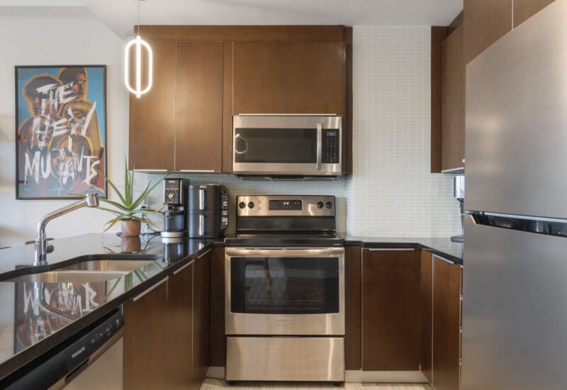 1010 Rue Ste-Catherine E. #410  Montréal (Ville-Marie) (Montréal)