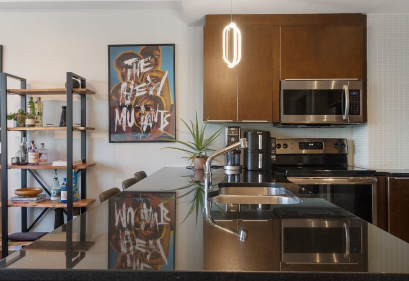 1010 Rue Ste-Catherine E. #410  Montréal (Ville-Marie) (Montréal)