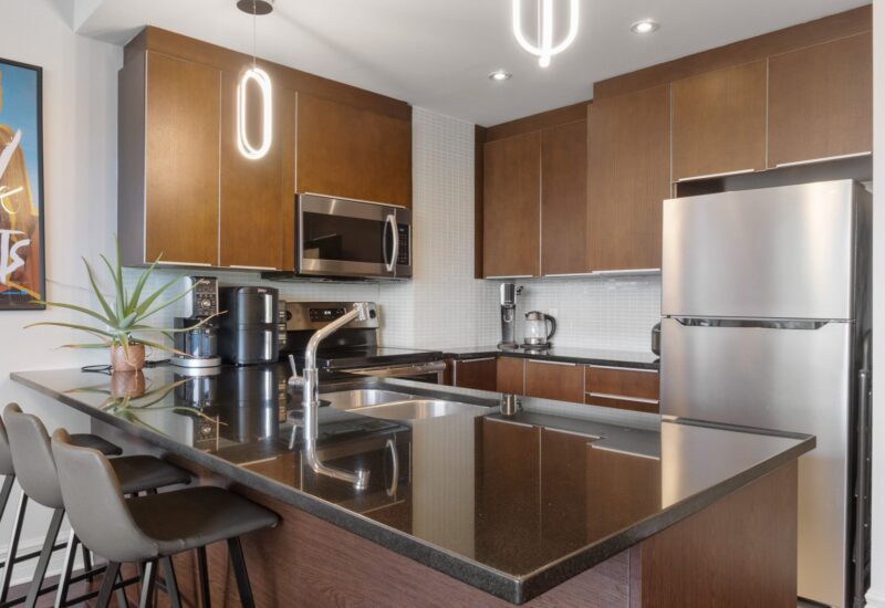 1010 Rue Ste-Catherine E. #410  Montréal (Ville-Marie) (Montréal)