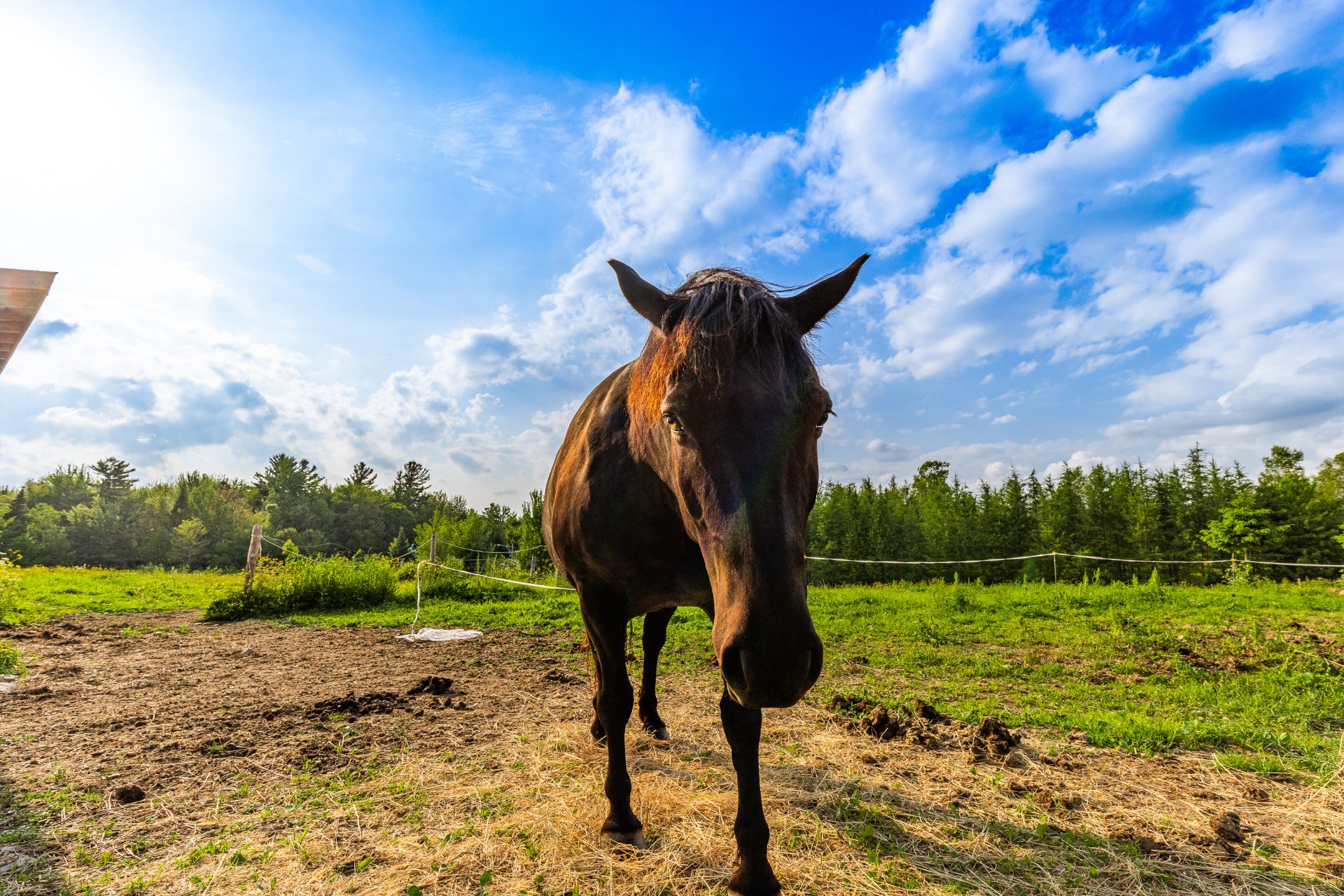 Bolton-Ouest  - Casa 13 Cuartos 4 Habitaciones - picture 19