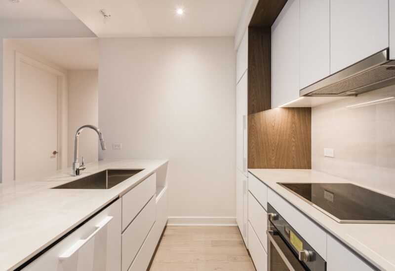 1020 Rue de la Montagne #3506  Montréal (Ville-Marie) (Montréal)