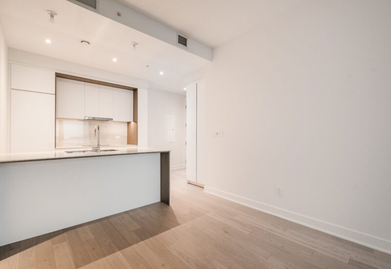 1020 Rue de la Montagne #3506  Montréal (Ville-Marie) (Montréal)