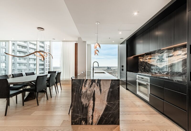 1020 Rue de la Montagne #4005  Montréal (Ville-Marie) (Montréal)