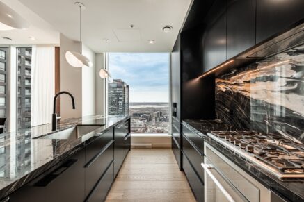 1020 Rue de la Montagne #4005  Montréal (Ville-Marie) (Montréal)