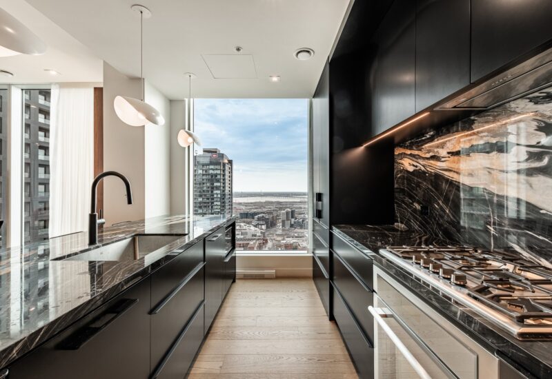 1020 Rue de la Montagne #4005  Montréal (Ville-Marie) (Montréal)