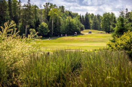 740 Allée Royale  Mont-Tremblant (Laurentides)