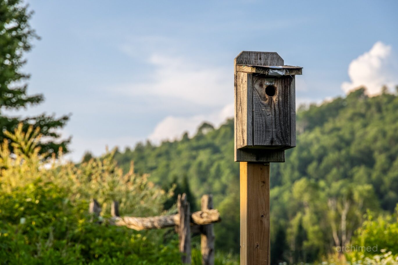 740 Allée Royale  Mont-Tremblant (Laurentides)