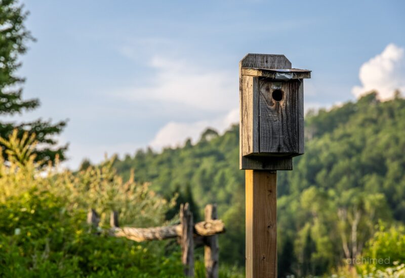 740 Allée Royale  Mont-Tremblant (Laurentides)