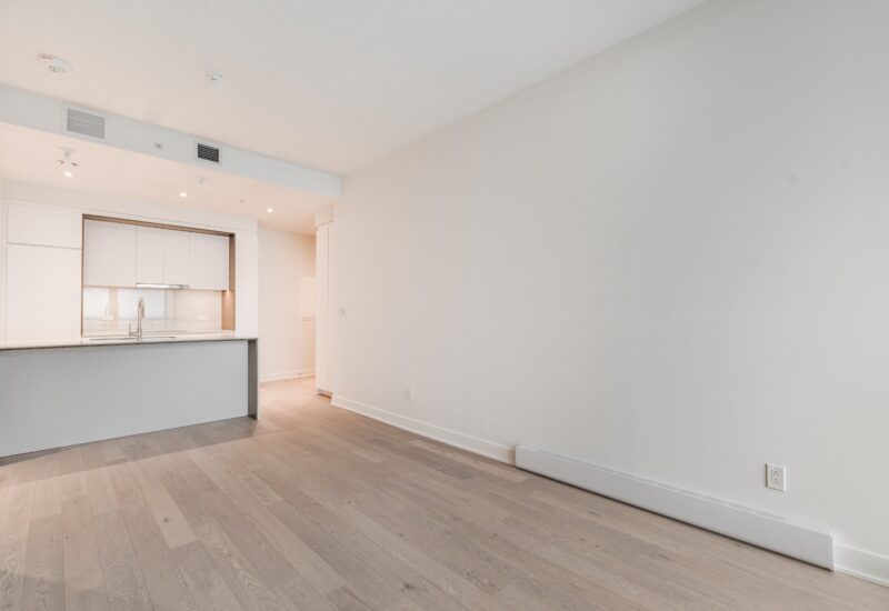 1020 Rue de la Montagne #3406  Montréal (Ville-Marie) (Montréal)