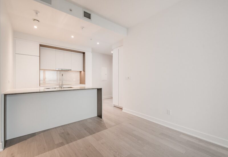 1020 Rue de la Montagne #3406  Montréal (Ville-Marie) (Montréal)