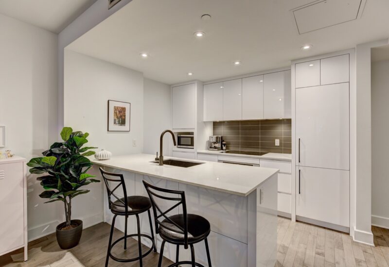 38 Rue du Square-Sir-George-Étienne-Cartier #515  Montréal (Le Sud-Ouest) (Montréal)