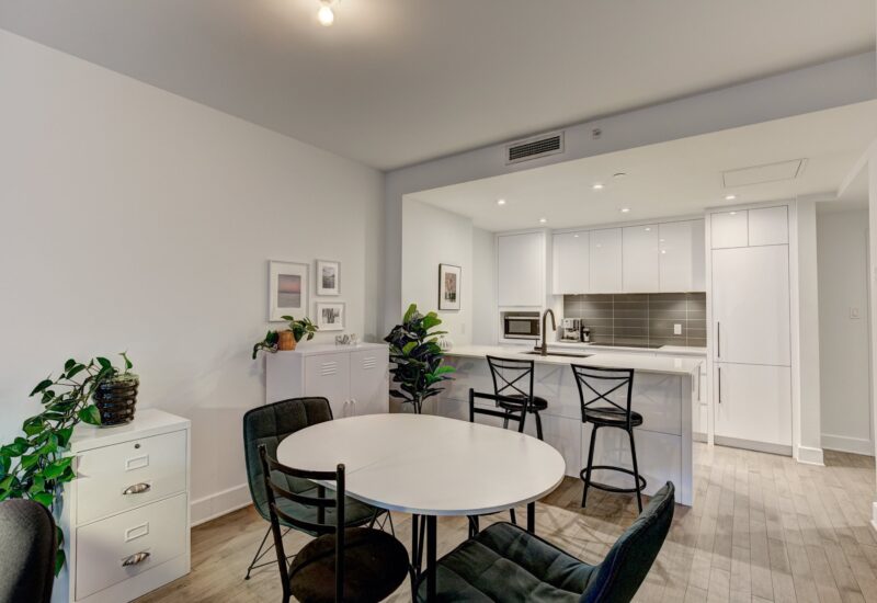 38 Rue du Square-Sir-George-Étienne-Cartier #515  Montréal (Le Sud-Ouest) (Montréal)