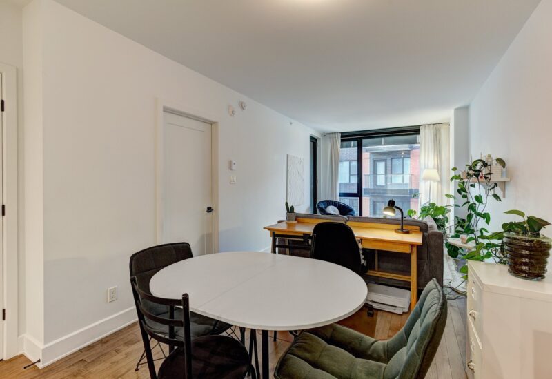 38 Rue du Square-Sir-George-Étienne-Cartier #515  Montréal (Le Sud-Ouest) (Montréal)