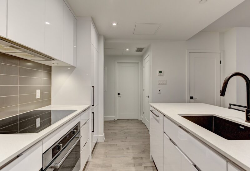 38 Rue du Square-Sir-George-Étienne-Cartier #515  Montréal (Le Sud-Ouest) (Montréal)