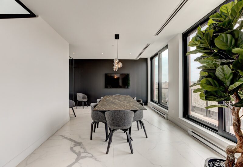 38 Rue du Square-Sir-George-Étienne-Cartier #515  Montréal (Le Sud-Ouest) (Montréal)