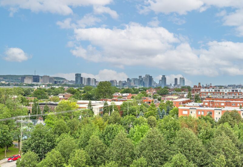 38 Rue du Square-Sir-George-Étienne-Cartier #515  Montréal (Le Sud-Ouest) (Montréal)