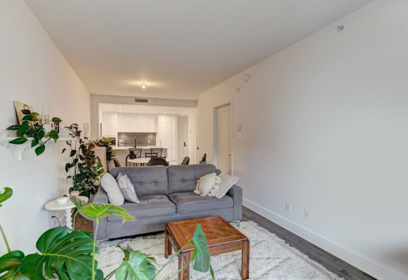 38 Rue du Square-Sir-George-Étienne-Cartier #515  Montréal (Le Sud-Ouest) (Montréal)