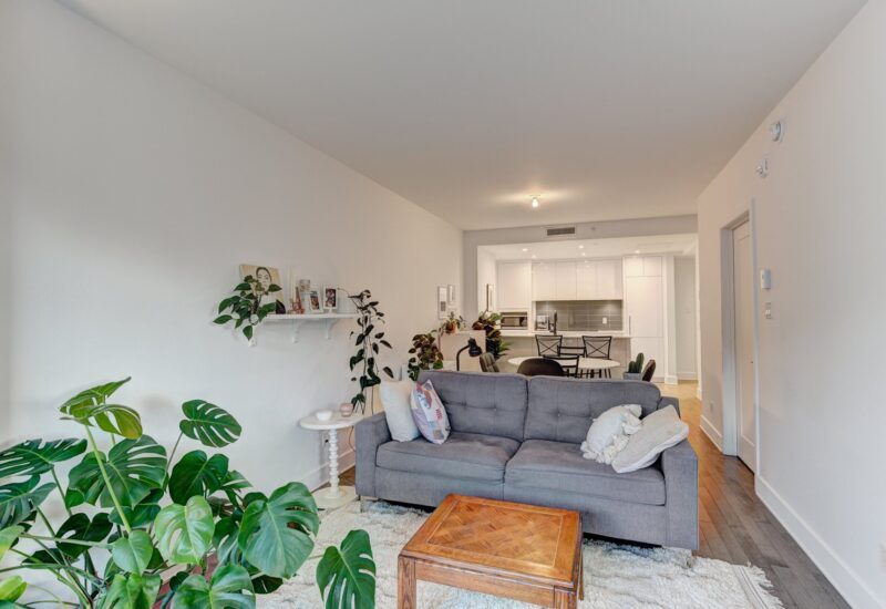 38 Rue du Square-Sir-George-Étienne-Cartier #515  Montréal (Le Sud-Ouest) (Montréal)