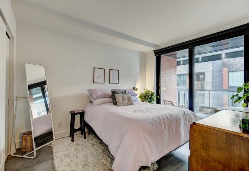 38 Rue du Square-Sir-George-Étienne-Cartier #515  Montréal (Le Sud-Ouest) (Montréal)