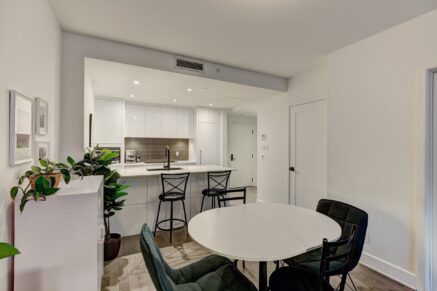 38 Rue du Square-Sir-George-Étienne-Cartier #515  Montréal (Le Sud-Ouest) (Montréal)