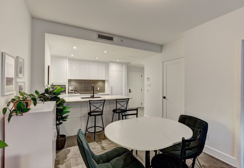 38 Rue du Square-Sir-George-Étienne-Cartier #515  Montréal (Le Sud-Ouest) (Montréal)