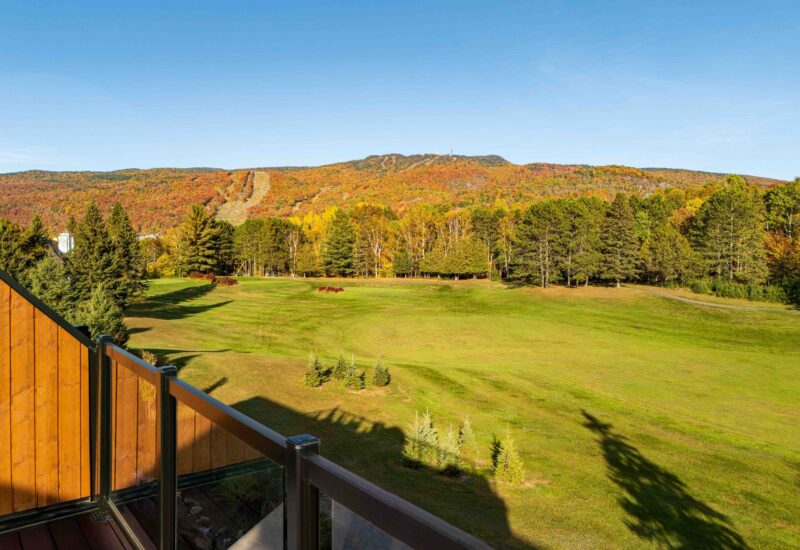 810 Allée du Géant #D  Mont-Tremblant (Laurentides)