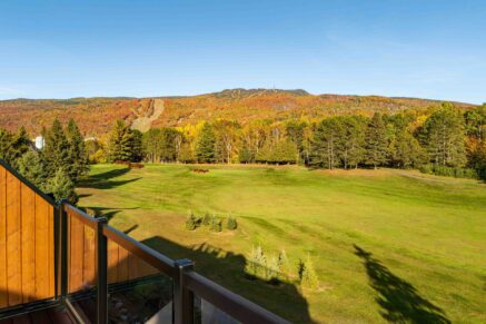 840 Allée du Géant #G  Mont-Tremblant (Laurentides)