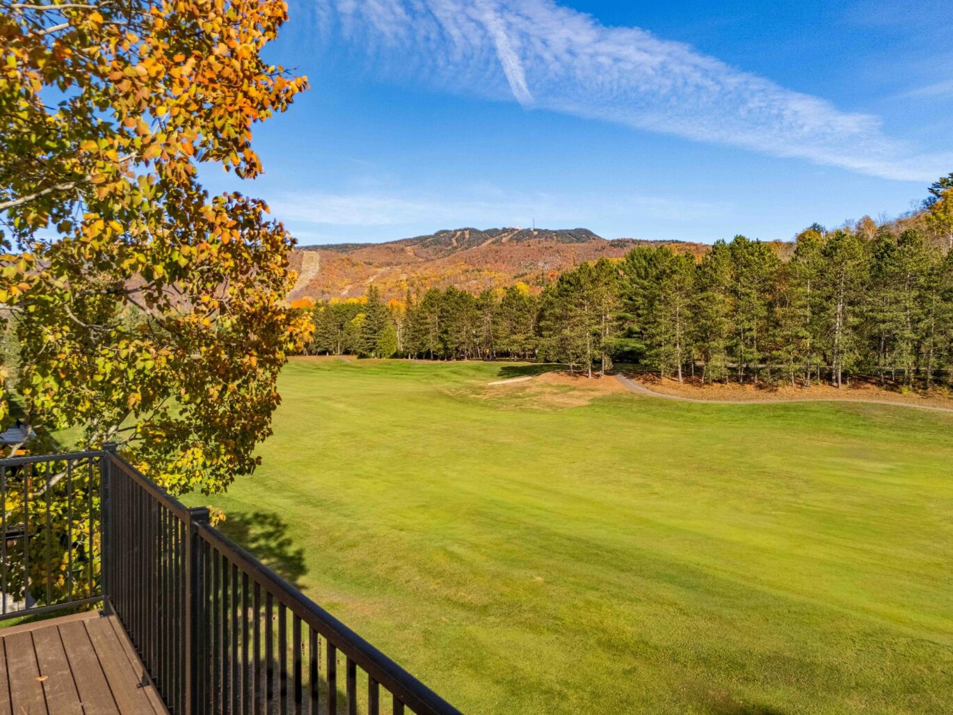 830 Allée du Géant #F  Mont-Tremblant (Laurentides)