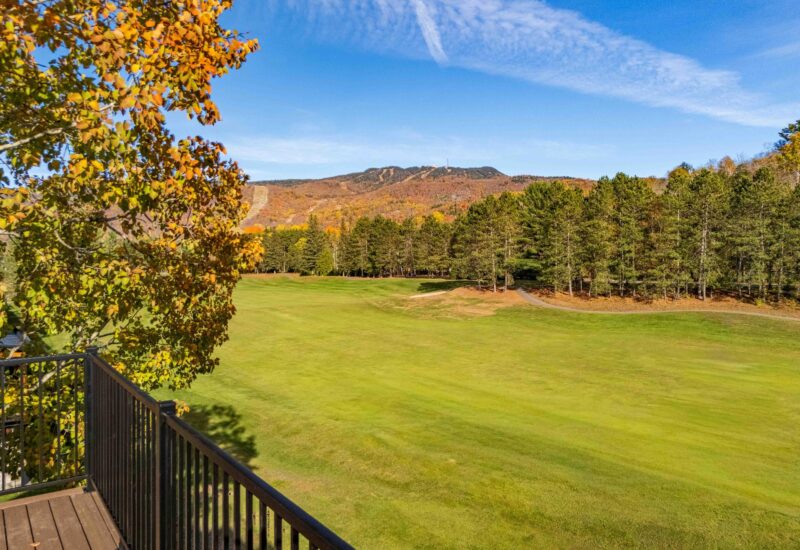 830 Allée du Géant #F  Mont-Tremblant (Laurentides)