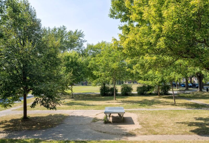 5447 Av. Earnscliffe  Montréal (Côte-des-Neiges/Notre-Dame-de-Grâce) (Montréal)