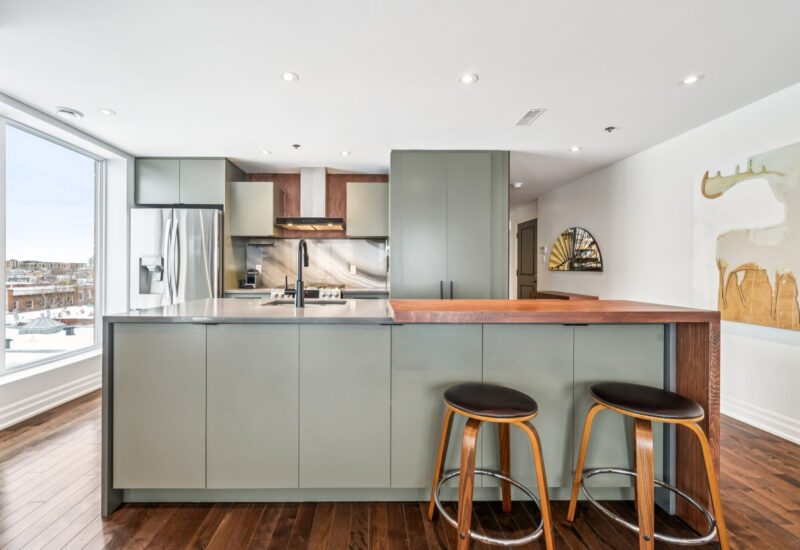 22 Rue Beaubien E. #505  Montréal (Rosemont/La Petite-Patrie) (Montréal)