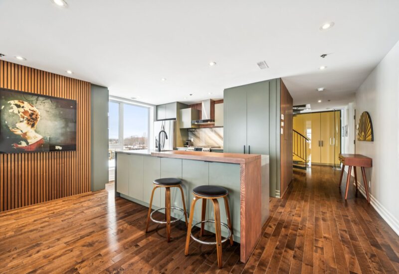 22 Rue Beaubien E. #505  Montréal (Rosemont/La Petite-Patrie) (Montréal)