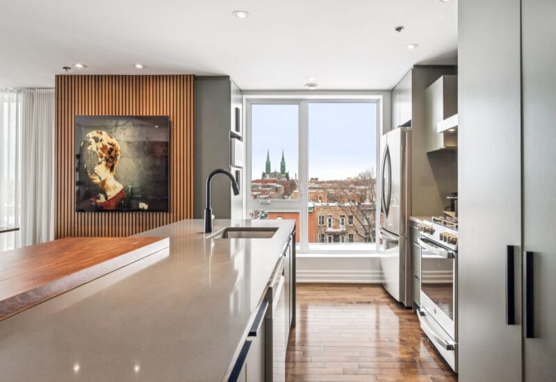 22 Rue Beaubien E. #505  Montréal (Rosemont/La Petite-Patrie) (Montréal)