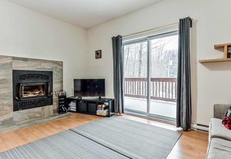 266 – 268 Ch. Seigneurial  Sutton (Estrie)