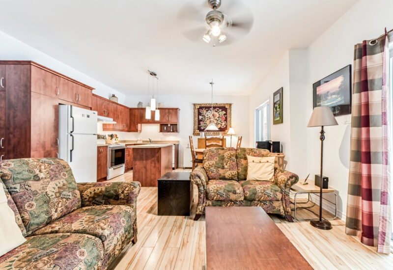 266 – 268 Ch. Seigneurial  Sutton (Estrie)