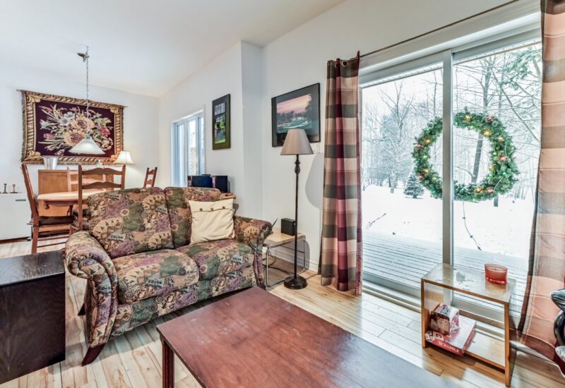 266 – 268 Ch. Seigneurial  Sutton (Estrie)