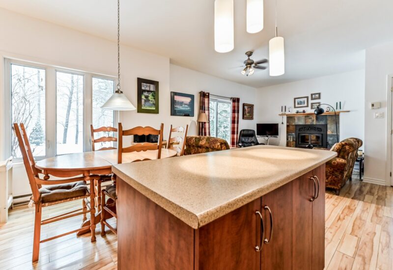 266 – 268 Ch. Seigneurial  Sutton (Estrie)