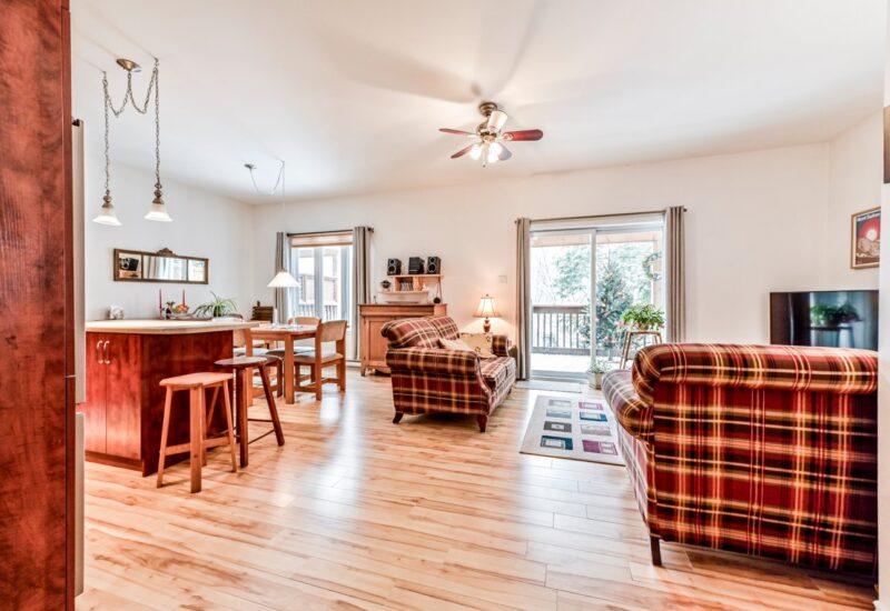 266 – 268 Ch. Seigneurial  Sutton (Estrie)