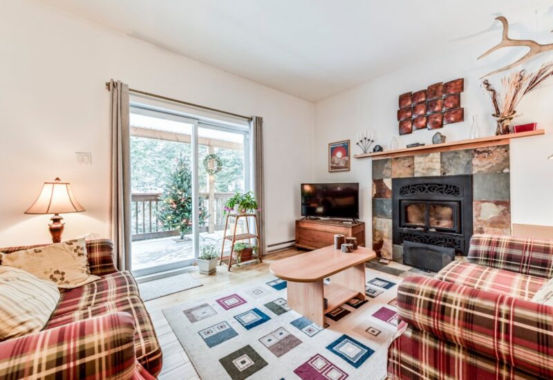 266 – 268 Ch. Seigneurial  Sutton (Estrie)