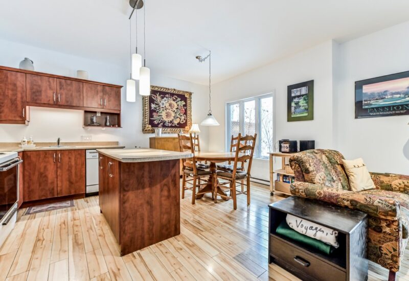 266 – 268 Ch. Seigneurial  Sutton (Estrie)