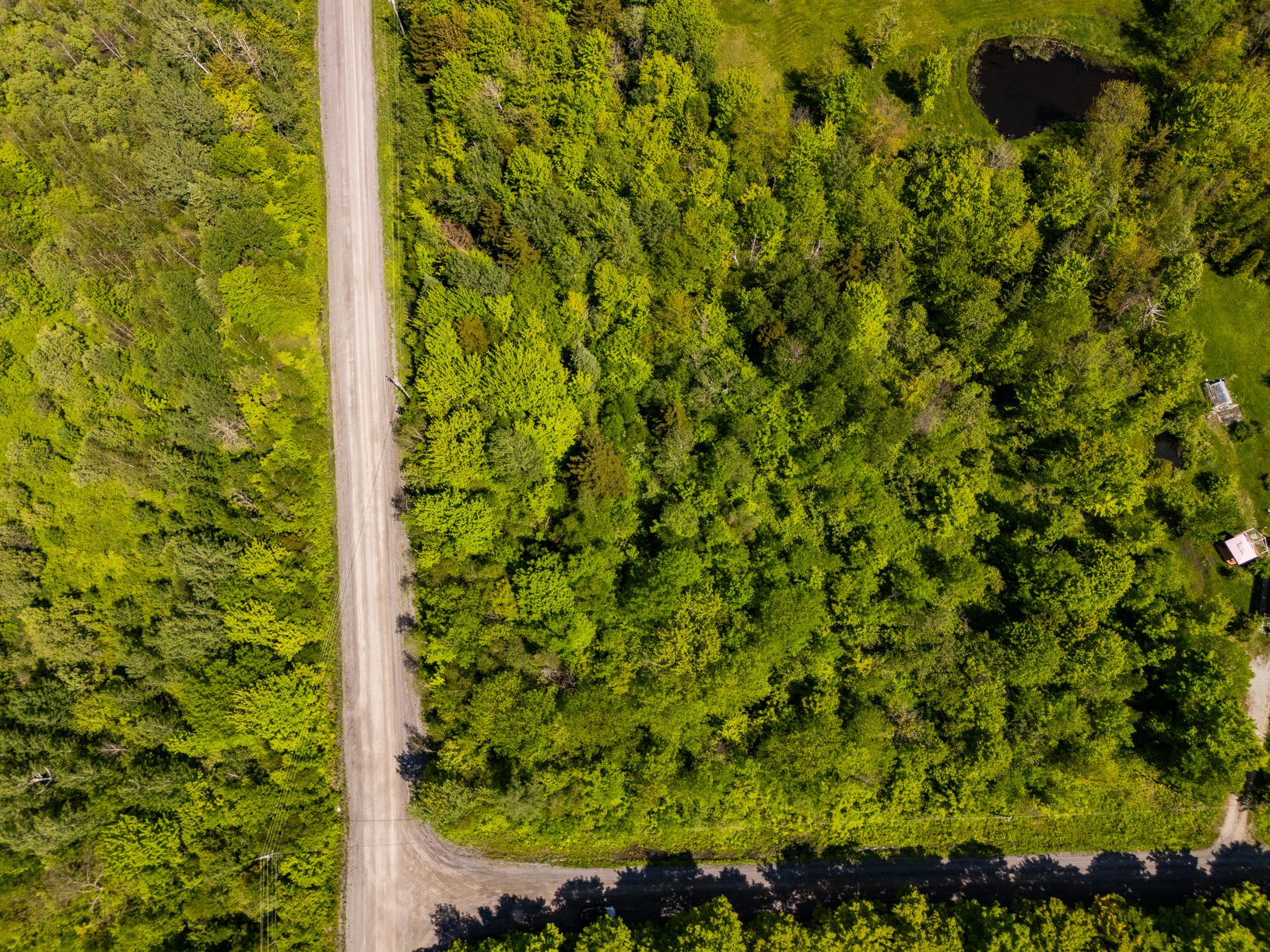 Bolton-Ouest  - Terrain  - picture 8