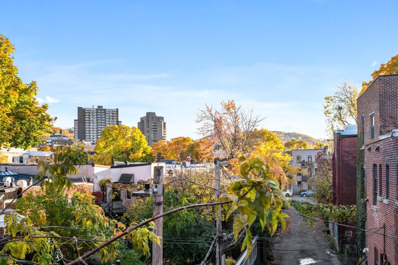 5172 Av. du Parc  Montréal (Le Plateau-Mont-Royal) (Montréal)