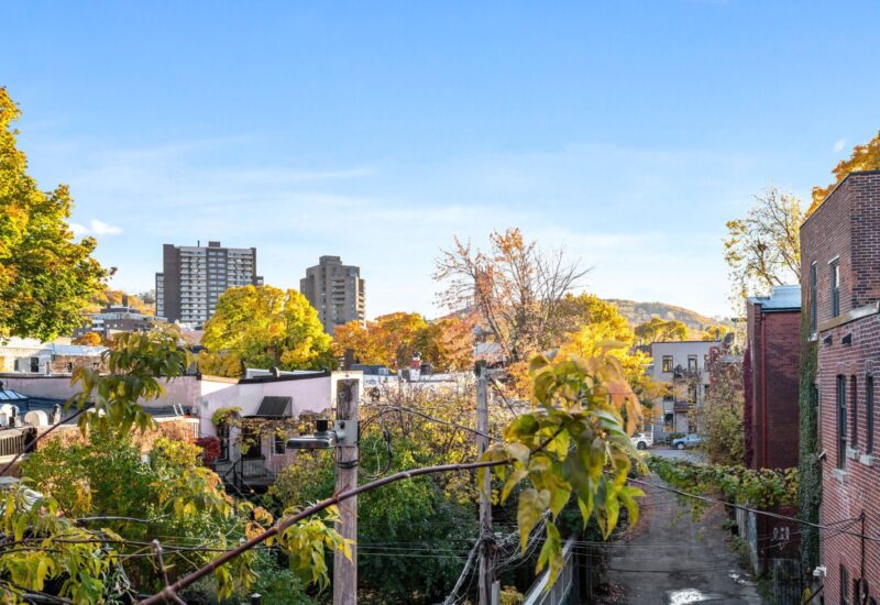 5172 Av. du Parc  Montréal (Le Plateau-Mont-Royal) (Montréal)