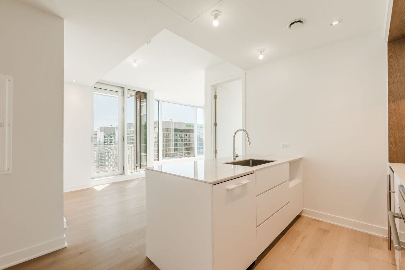 1020 Rue de la Montagne #PH-3710  Montréal (Ville-Marie) (Montréal)