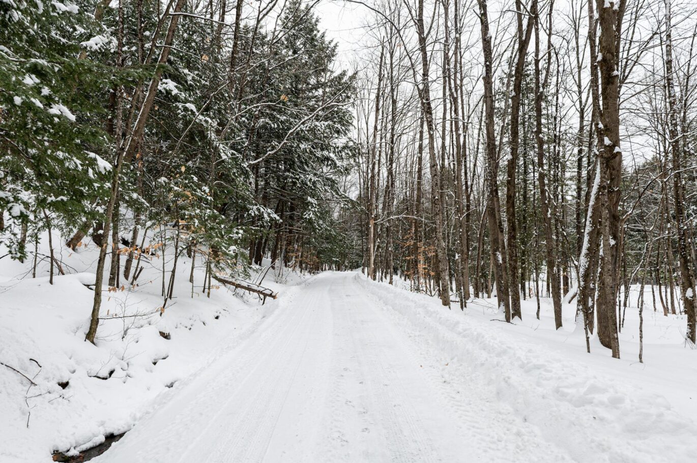 61 Ch. William-H.-Abbott  Potton (Estrie)